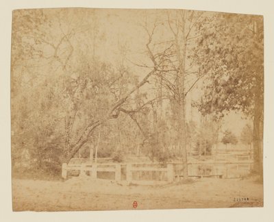 View 3 - Unidentified Garden, Iran by Luigi Pesce